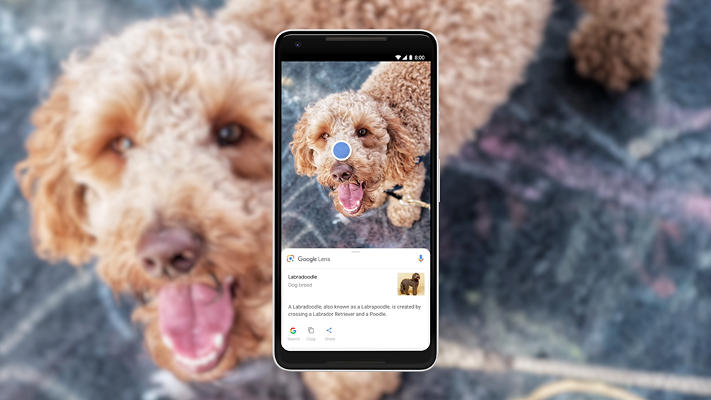 Google Lens: 5 Simple Ways To Use Google's Visual Search Tool