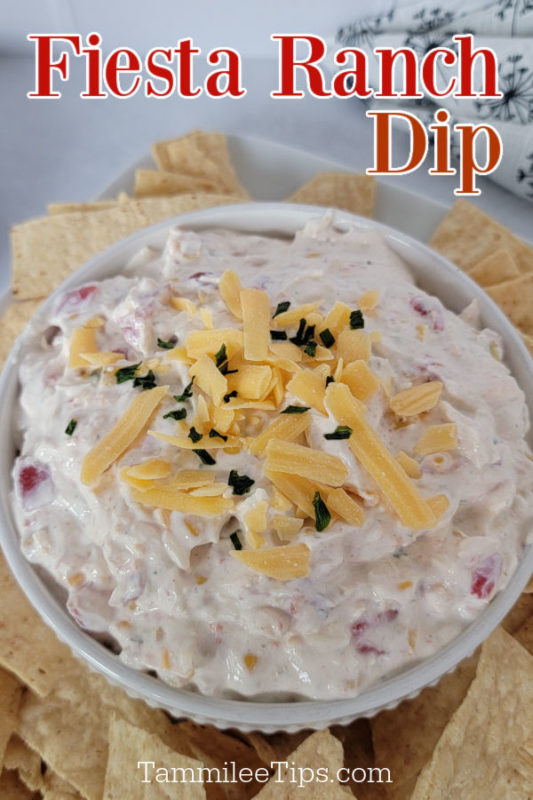 Fiesta Ranch Dip Recipe