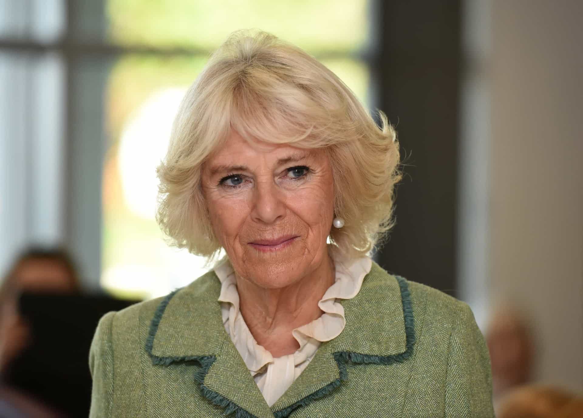 <p>Camilla, Duchess of Cornwall technically had the title Princess of Wales from her marriage to Prince Charles until his accession to the throne.</p><p>You may also like:<a href="https://www.starsinsider.com/n/497906?utm_source=msn.com&utm_medium=display&utm_campaign=referral_description&utm_content=517522en-us"> Find out which type of drunk you are based on your zodiac sign</a></p>