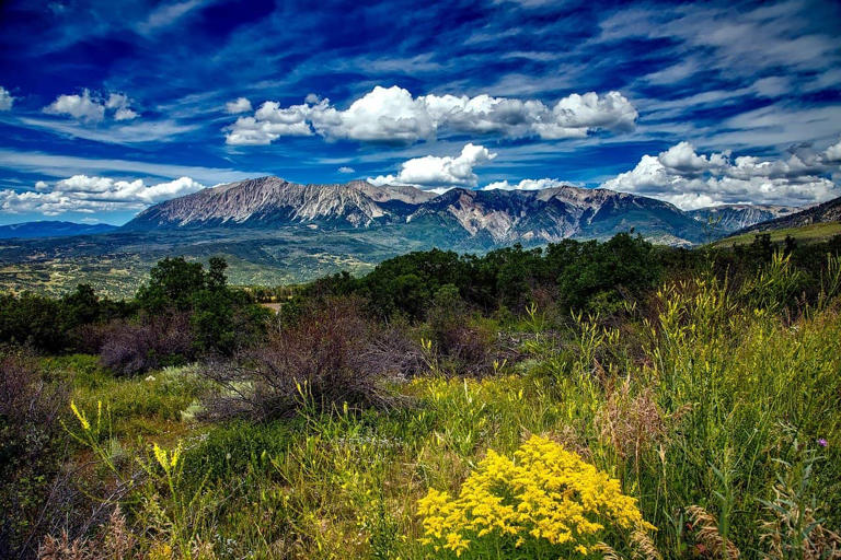 Parts of Colorado feel like it is touching the clouds. With over 70 mountain tops over 12,000 feet, visitors to Rocky Mountain National Park in Colorado can touch the clouds too.  Along with rugged mountain scenery, the wildlife in the Rockies is top, too. The easiest way to see all the stunning scenery is to [...]
