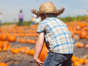 Fall is coming and you won’t want to the season go by without visiting these Indiana pumpkin patches. With a variety of activities going on, in addition to the traditional …