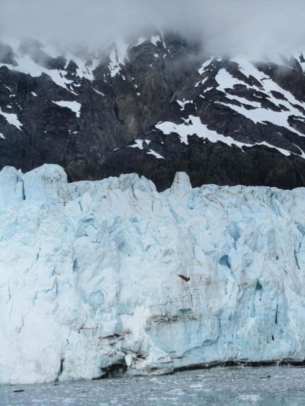 Complete Guide to Glacier Bay National Park