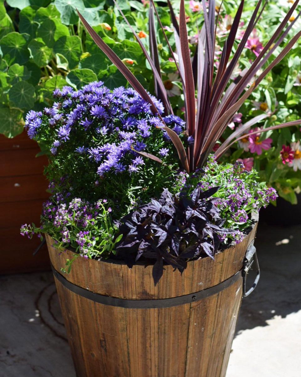 10 Fall Container Garden Ideas