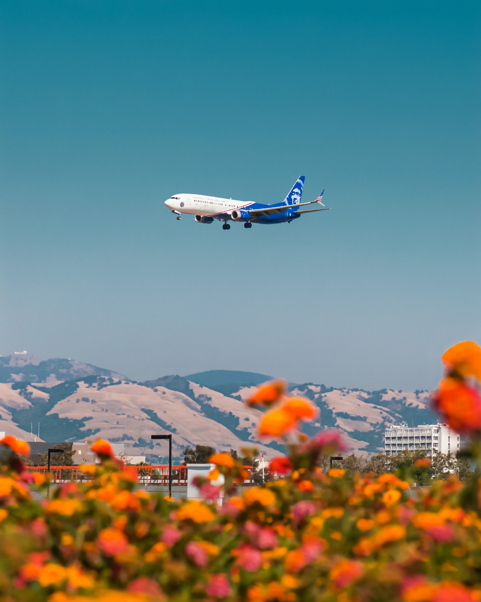 Airlines background. Turkish Airlines 1080x1920. Turkish Airlines 1080x1080.