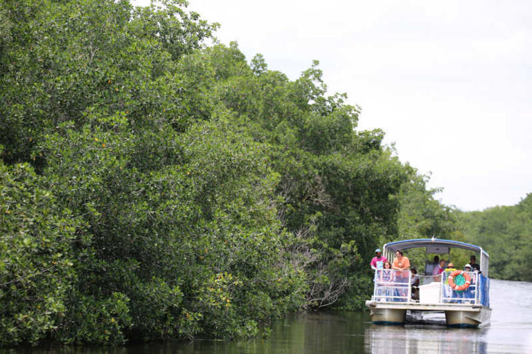 Things to do Everglades National Park - Florida