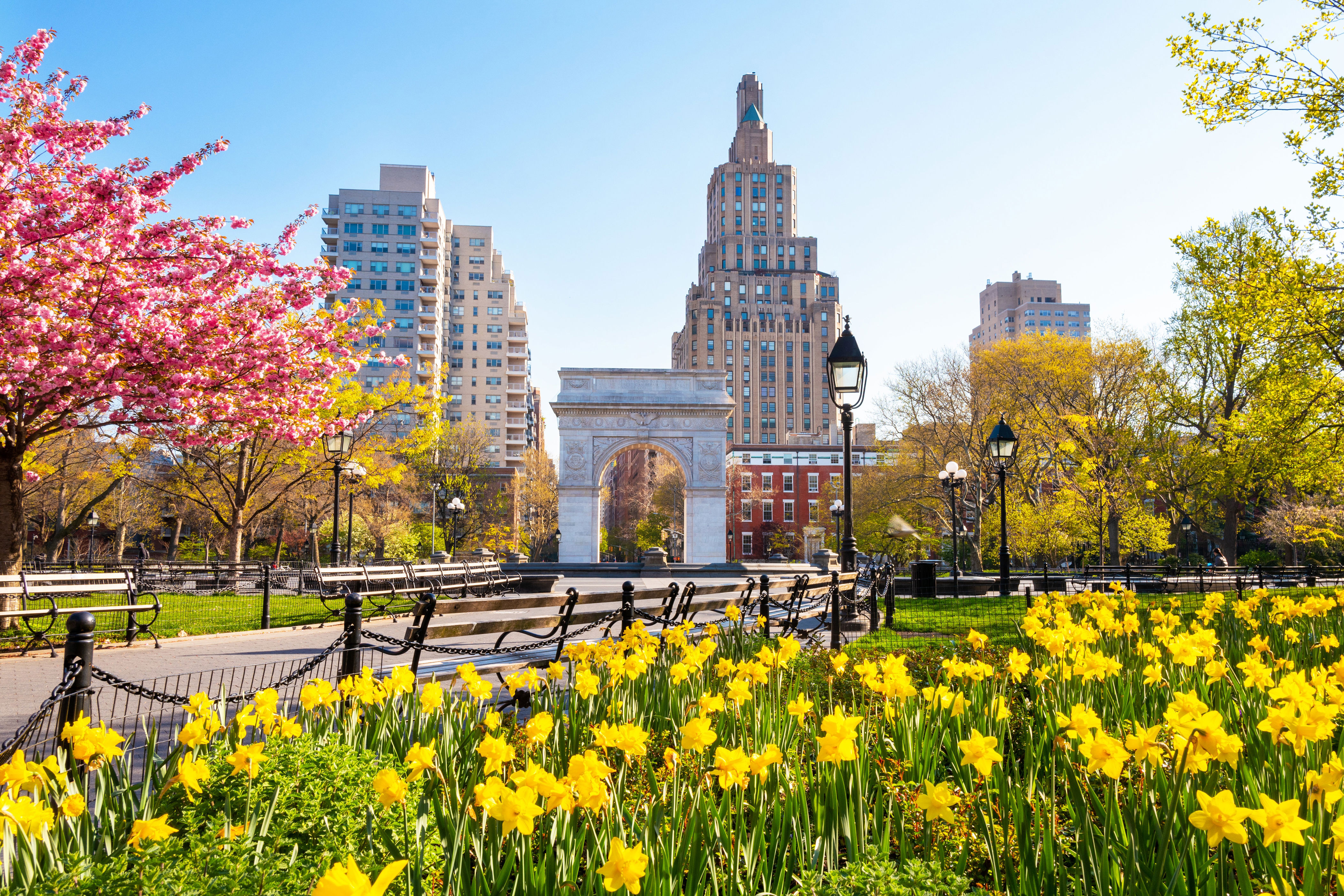 The Best Free Things to Do in New York City