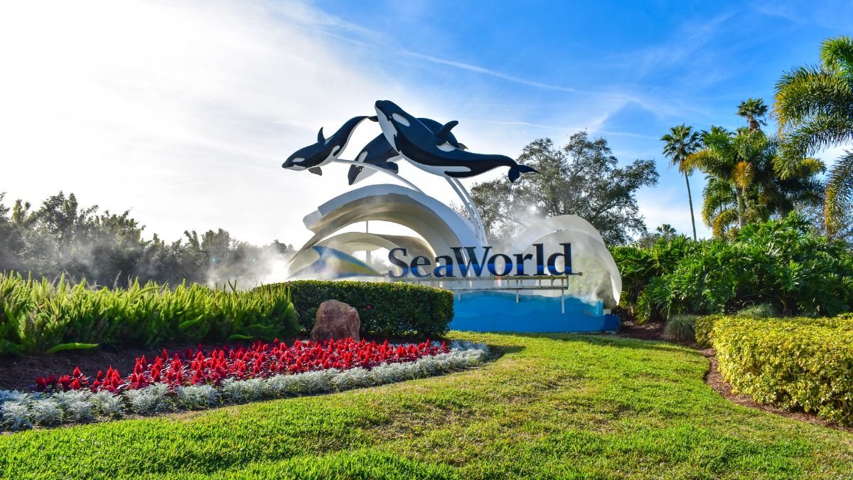 SeaWorld Announces A New Attraction Or Ride In Every Park For 2024   AA136UwR.img