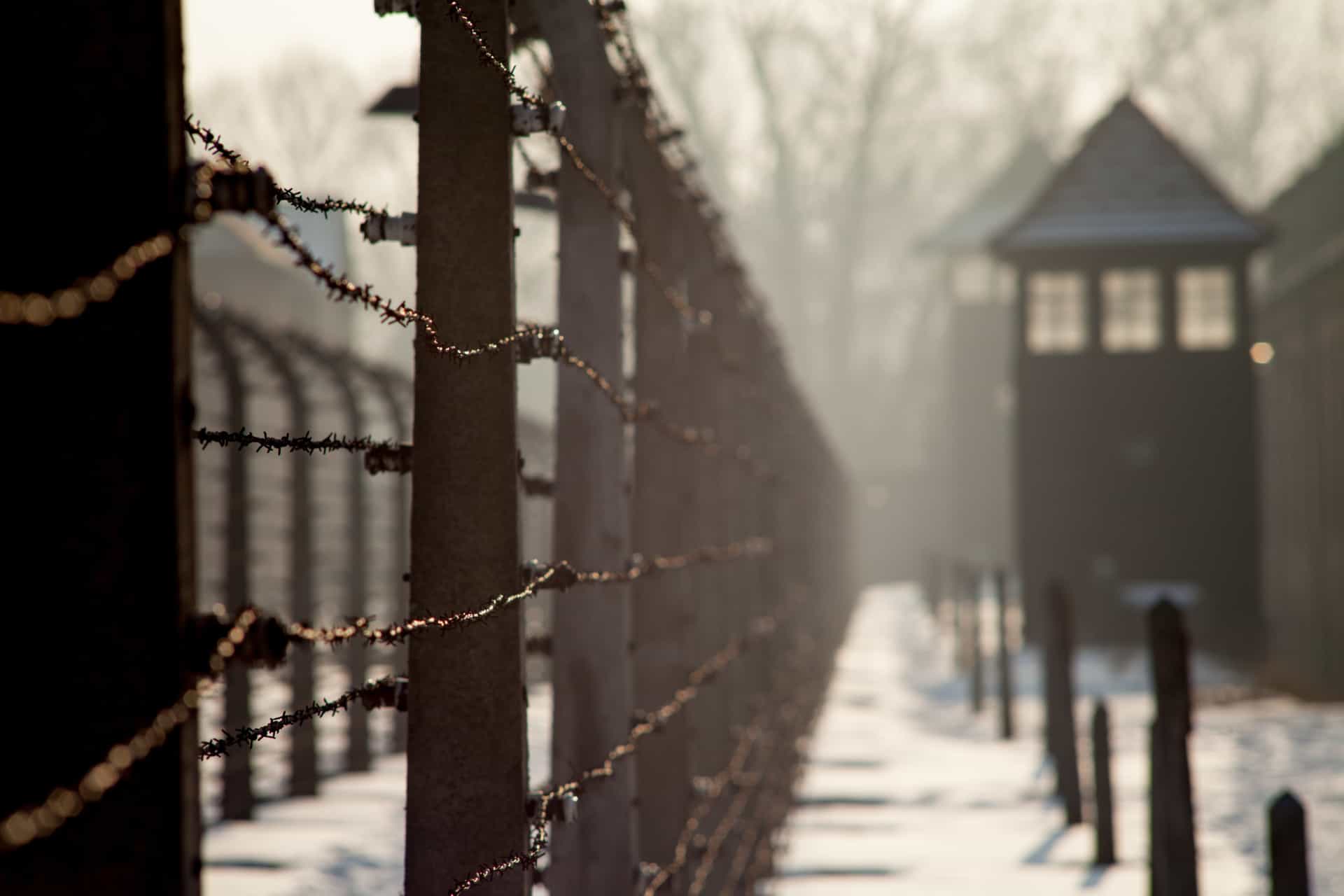 According to the Jewish Vitual Library website, more than a third of the Jewish population of Germany was murdered during the Holocaust.<p><a href="https://www.msn.com/en-us/community/channel/vid-7xx8mnucu55yw63we9va2gwr7uihbxwc68fxqp25x6tg4ftibpra?cvid=94631541bc0f4f89bfd59158d696ad7e">Follow us and access great exclusive content everyday</a></p>