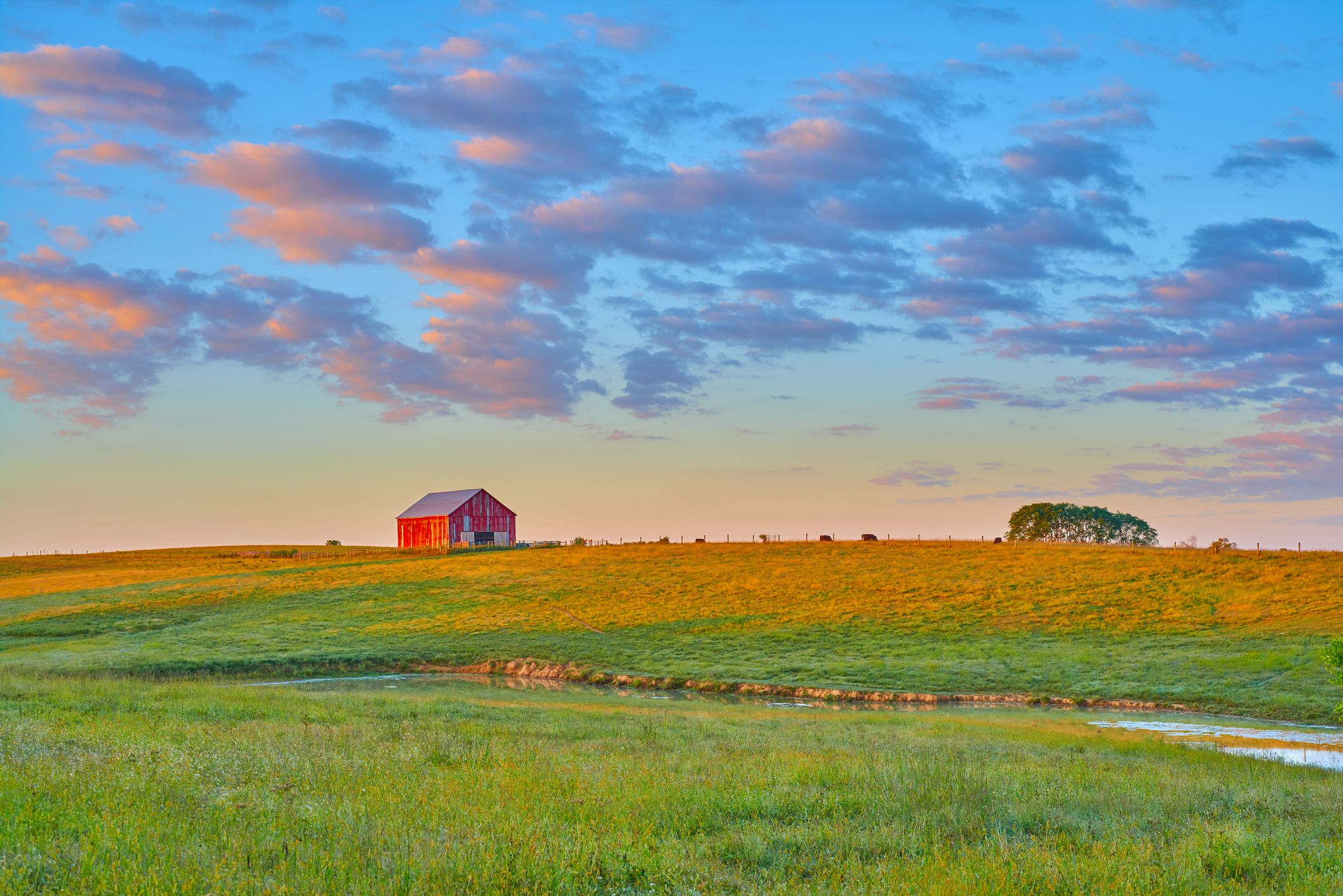 what-is-a-farm-stay-why-you-need-to-book-one-asap