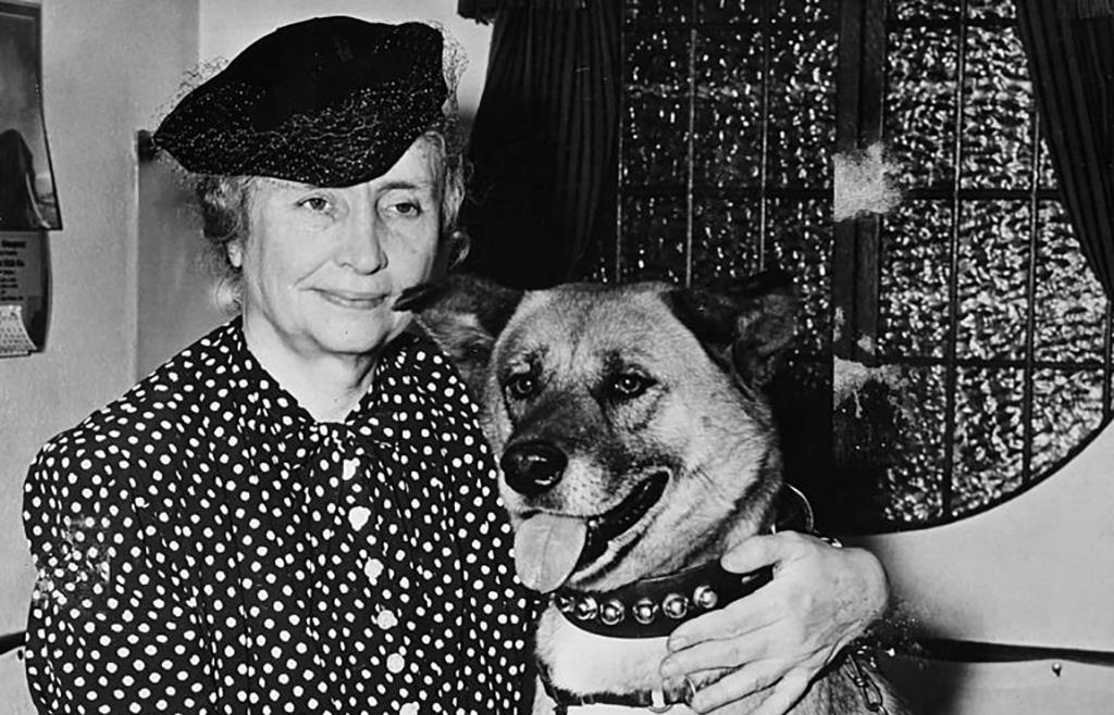 <p>In the 1930s, Keller was touring around Japan visiting schools and making public appearances. She was a known animal lover, and a Japanese police officer gave her an Akita named Kamikaze-Go as a present. She immediately bonded with the dog, who unfortunately passed away not long before she returned to the United States.</p> <p>Hearing that her dog died, the Japanese government gifted her another dog from the same litter and shipped it to the United States. This made Keller the first person to bring the dog breed into the U.S. After World War II, she returned to Japan once again to visit the disabled in military hospitals. </p>