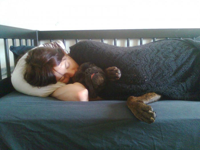 Human_sleeping_on_a_bed_with_a_dog.jpg