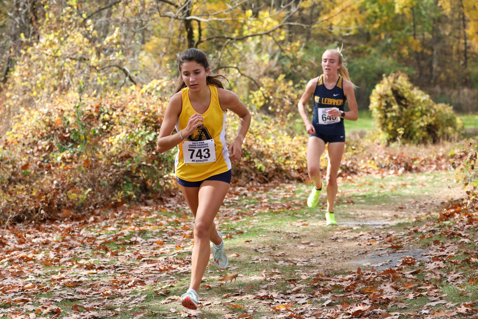 Mid-Penn cross country: Greencastle's Claire Paci claims another gold medal