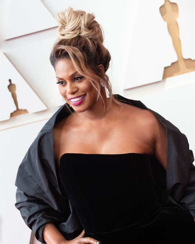 <p>It’s no secret that Laverne Cox is one of the most dazzling, confident spirits in Hollywood, and <a href="https://www.sheknows.com/entertainment/articles/2658193/laverne-cox-black-bikini-beach-video/">her daring bikini pictures only prove that fact further!</a></p>