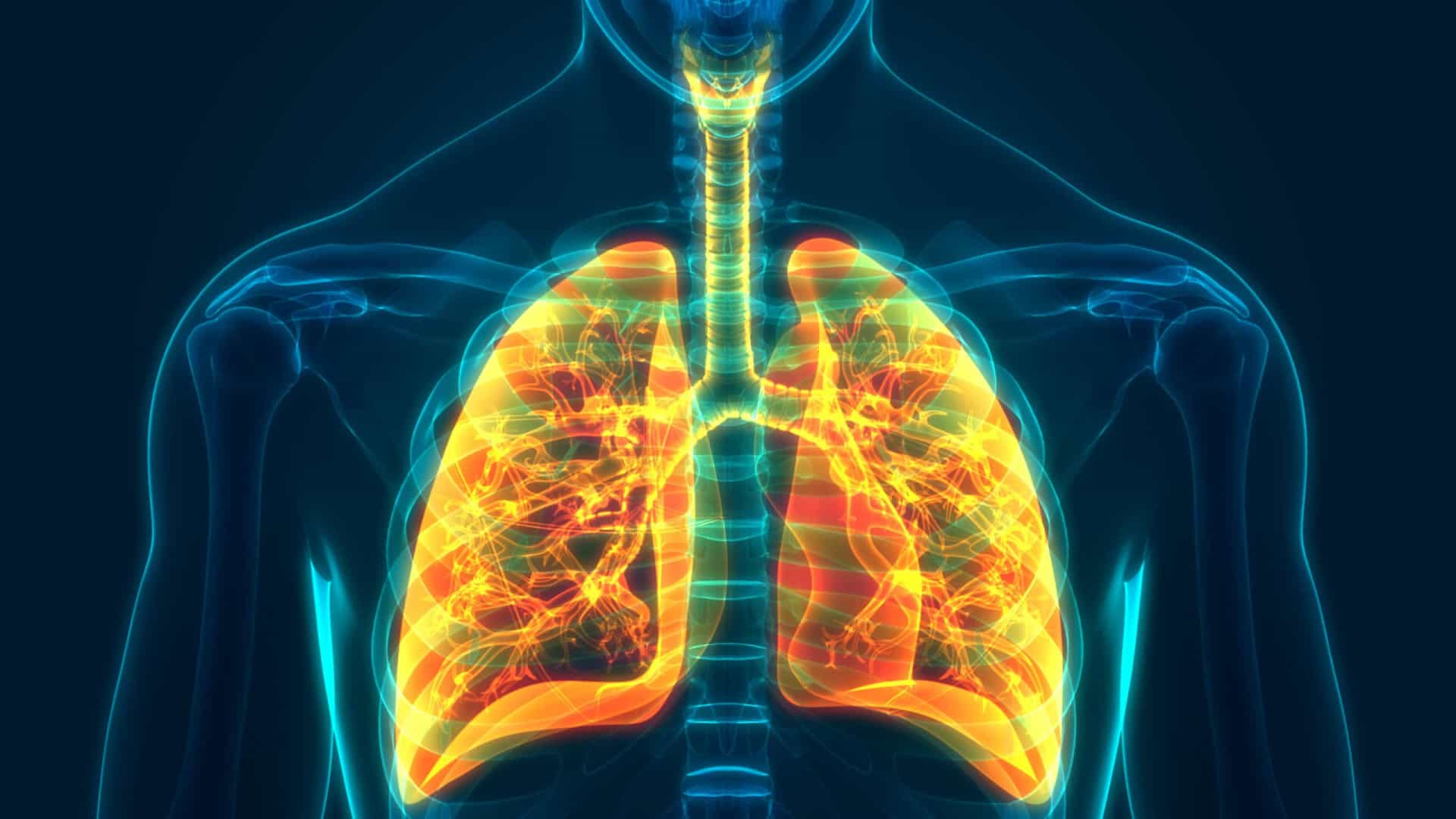 What Is Chronic Obstructive Pulmonary Disease?