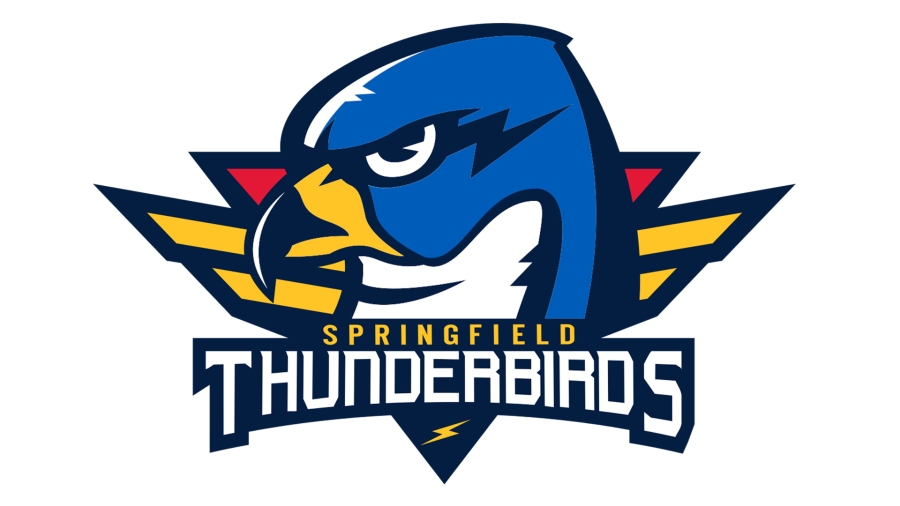 Springfield Thunderbirds Faced Off Against Providence Bruins