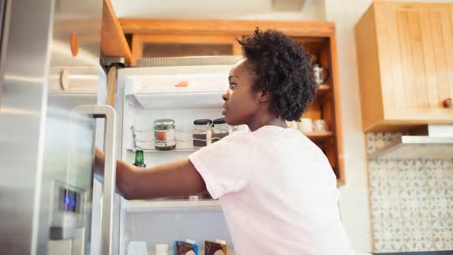 Best Refrigerator Temperature to Keep Food Fresh