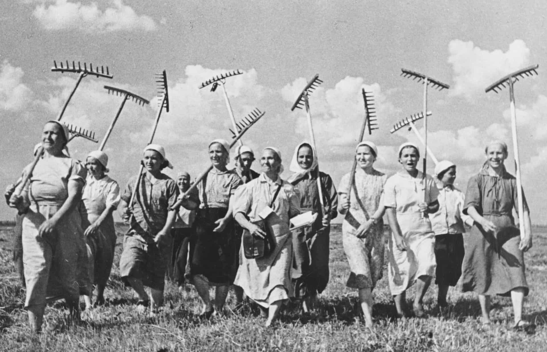 <p>Elsewhere, women took to the vast steppes of the Russian countryside as collective farmers to replace men who had left for the front.</p><p>You may also like:<a href="https://www.starsinsider.com/n/384084?utm_source=msn.com&utm_medium=display&utm_campaign=referral_description&utm_content=517253en-us"> Arnold Schwarzenegger's best movies... and his worst!</a></p>
