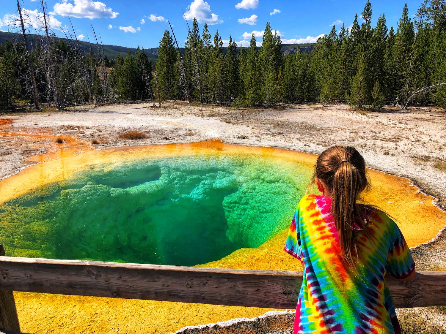 planning-a-trip-to-yellowstone-15-things-to-know