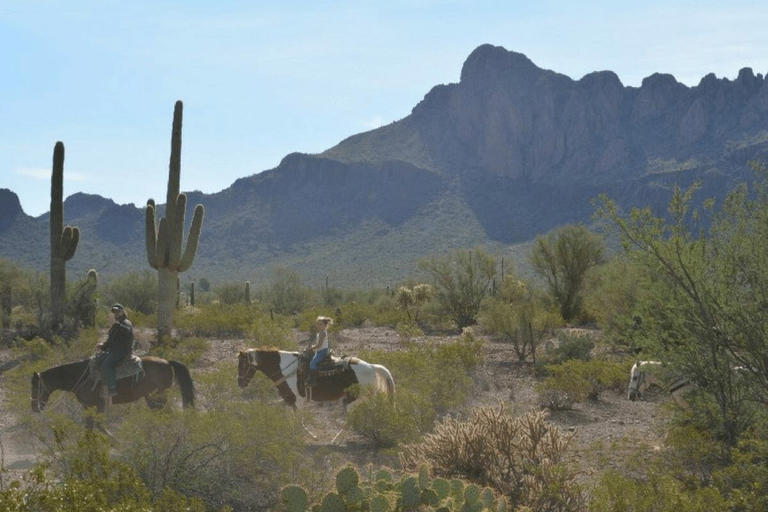 Do not miss these 18 unforgettable places to visit and things to do in Tucson, Arizona with kids. Complete with Sonoran style and old west charm!
