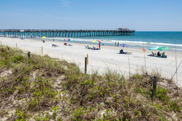 Reserved parking available for 20% of spaces at Grand Strand state parks