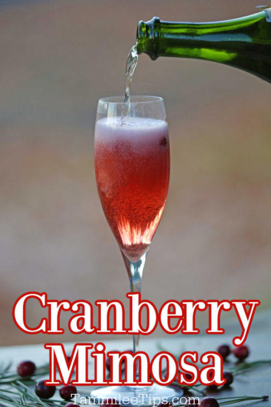 Easy Cranberry Mimosa Recipe