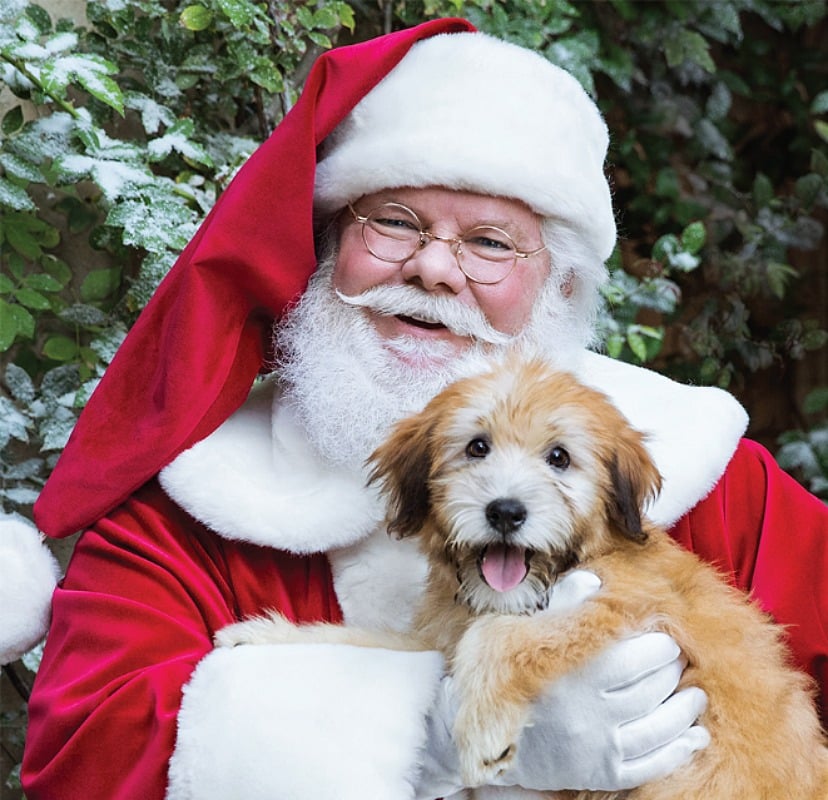 FREE Photo With Santa at PetSmart!