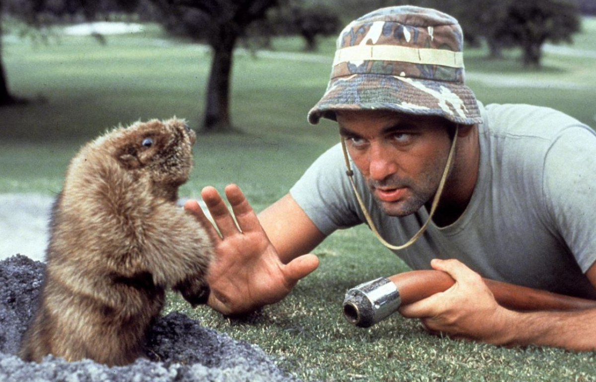 <p>1980’s Caddyshack is considered by many as one of the funniest sports movies ever made, you can’t go wrong with a film directed by Harold Ramis, and starring Chevy Chase, Rodney Dangerfield, Ted Knight, Michael O'Keefe, and a career making performance by Bill Murray.</p>