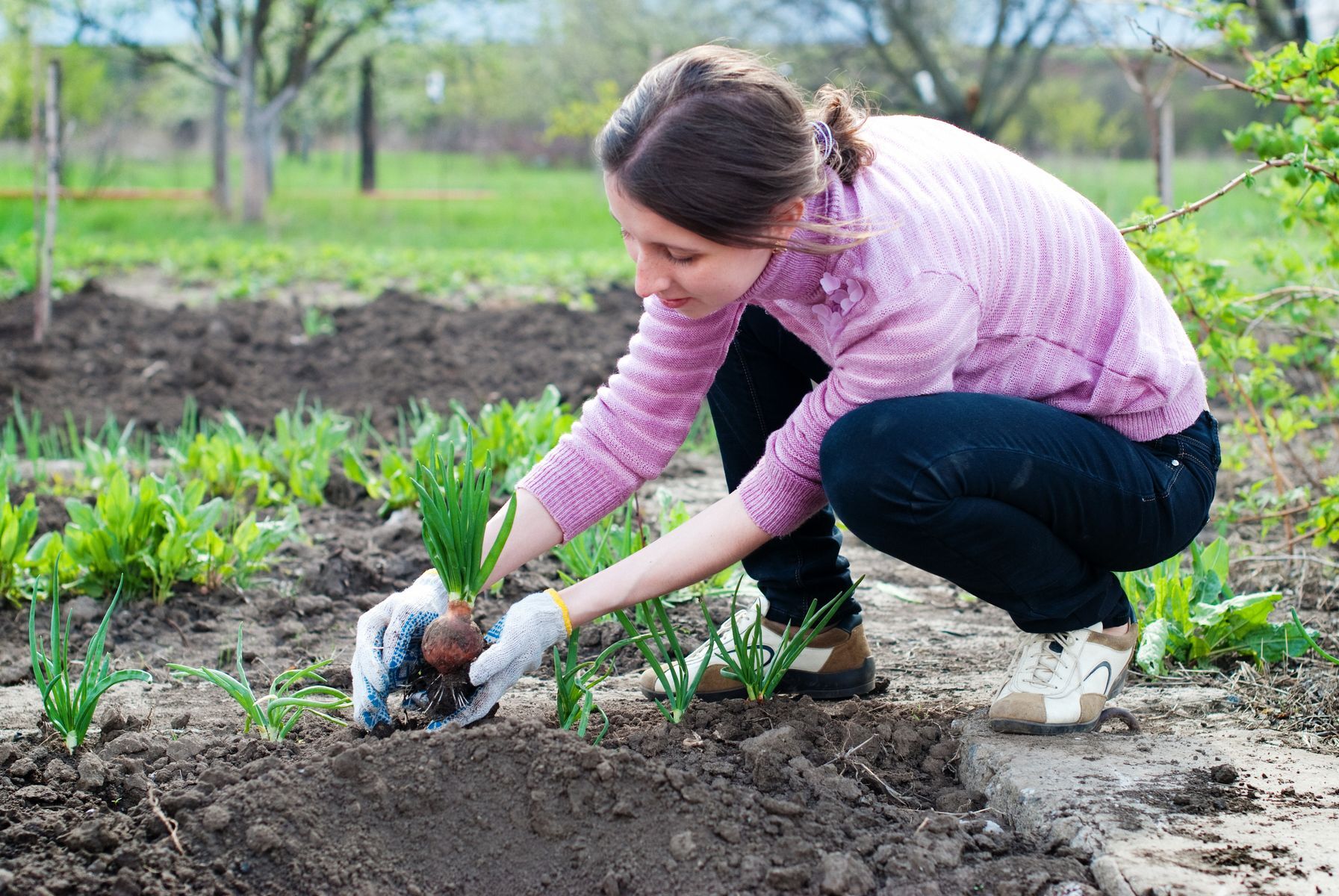 <p>In addition to helping you stay in shape, <a href="https://www.ncbi.nlm.nih.gov/pmc/articles/PMC6334070/">physically and mentally,</a> gardening provides fresh fruits and vegetables all summer long, and they won’t need to <a href="https://www.popsci.com/environment/food-transportation-carbon-emissions/">travel long distances</a> to get to your plate. What's more, you <a href="https://climate.selectra.com/en/advice/permaculture?Accept-Encoding=gzip,%20deflate&Accept=*/*&Connection=keep-alive&User-Agent=Mozilla/5.0%20(X11;%20Ubuntu;%20Linux%20x86_64;%20rv:52.0)%20Gecko/20100101%20Firefox/52.0">control how your garden grows</a> and can choose ecological cultivation methods. Tip: Before purchasing seeds, research exchange groups that could save you money. In fact, <a href="https://laidbackgardener.blog/2020/01/25/national-seed-swap-day/?doing_wp_cron=1668298049.9570729732513427734375">January 25</a> is dedicated to swapping seeds.</p>
