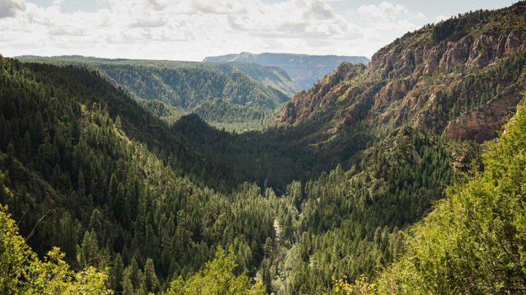 There are several great Arizona mountain towns to explore. Each is filled with outdoorsy fun and lots of scenery. Here are 18 you don't want to miss!