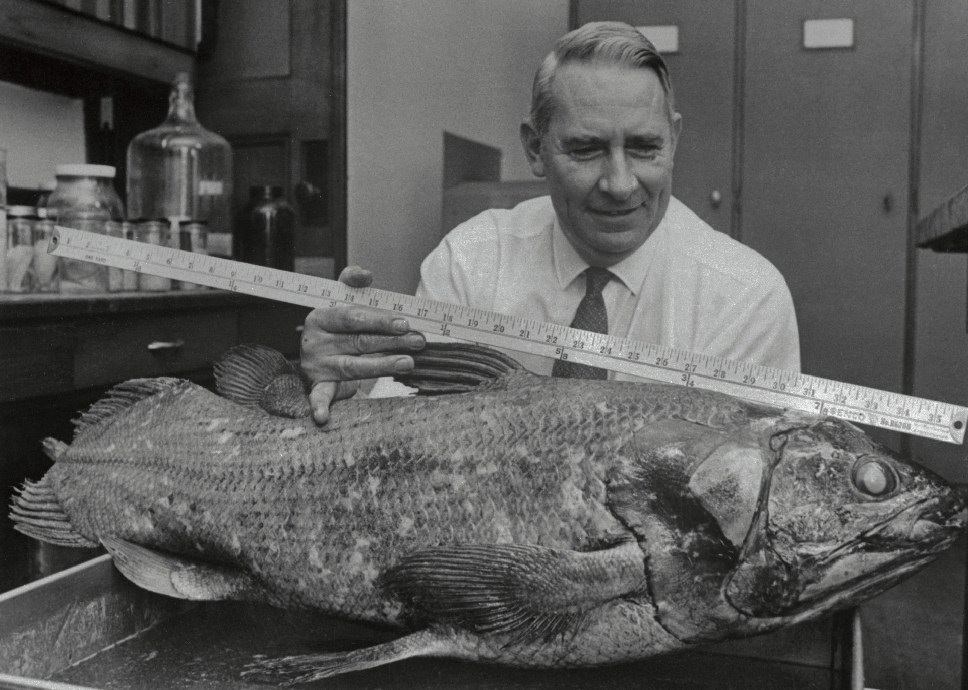 Как выглядит рыба латимерия Lost animal species that returned from extinction