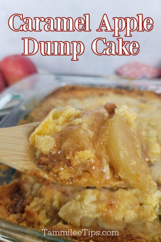 Easy 4 Ingredient Caramel Apple Dump Cake