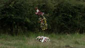Floral tributes laid by the roadside for Julie Finley