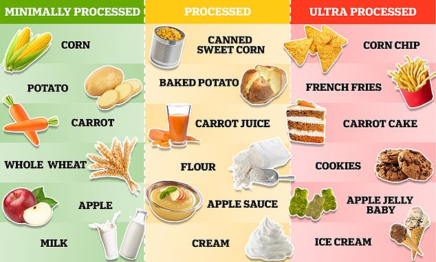 mailonline-s-guide-to-tell-ultra-processed-food-apart