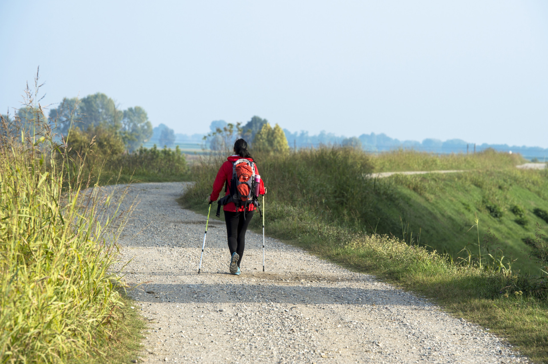 <p>One of the longest Catholic pilgrimages in Europe, Via Francigena starts in Canterbury, England. Pilgrims then pass through France, before wrapping up in Rome.</p><p>You may also like:<a href="https://www.starsinsider.com/n/484448?utm_source=msn.com&utm_medium=display&utm_campaign=referral_description&utm_content=524487en-us"> History's greatest archaeological discoveries</a></p>