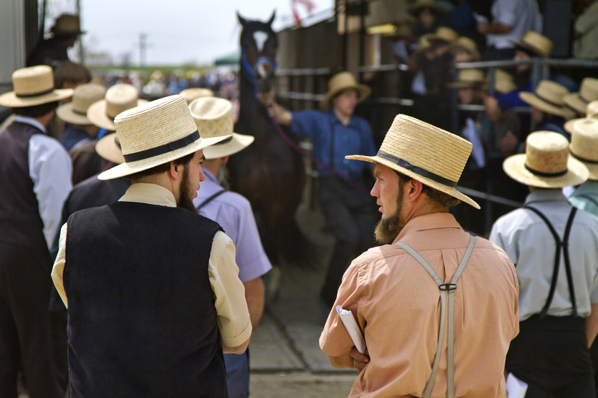 Rules you'd have to follow if you were Amish