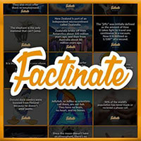 Factinate Media Group