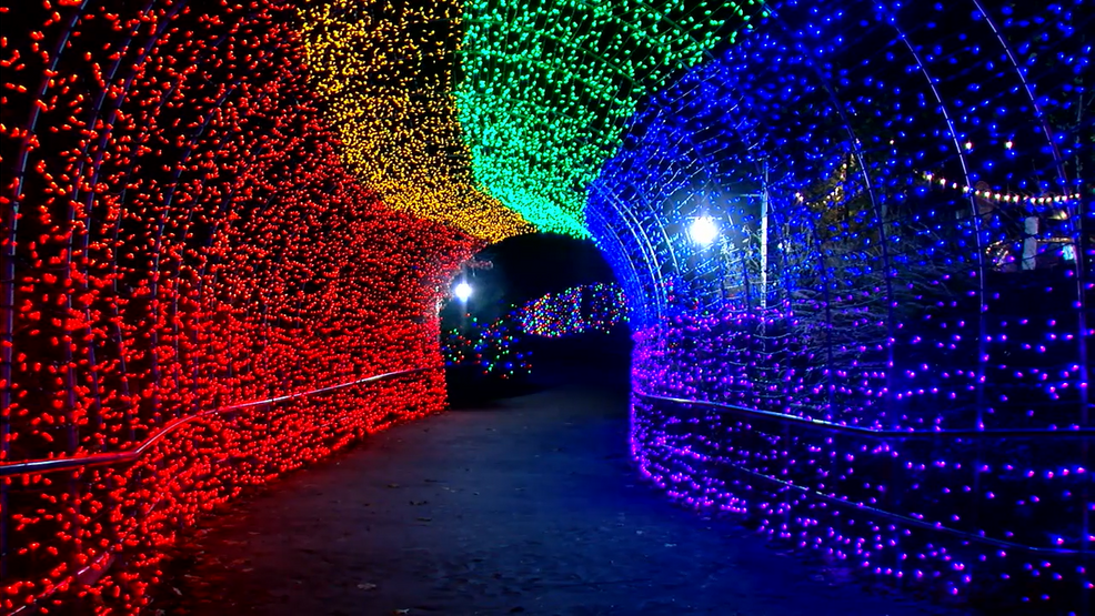 Festival of Lights returns 4million LED lights strong, introduces