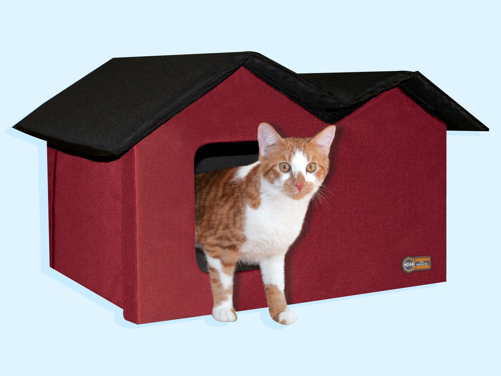 The 9 Best Outdoor Cat Houses Of 2024   AA14erpZ.img