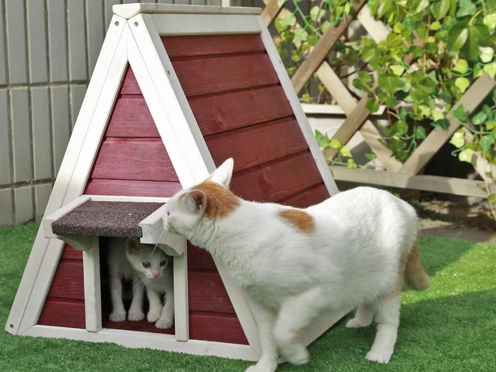 The 9 Best Outdoor Cat Houses Of 2024   AA14eu0H.img