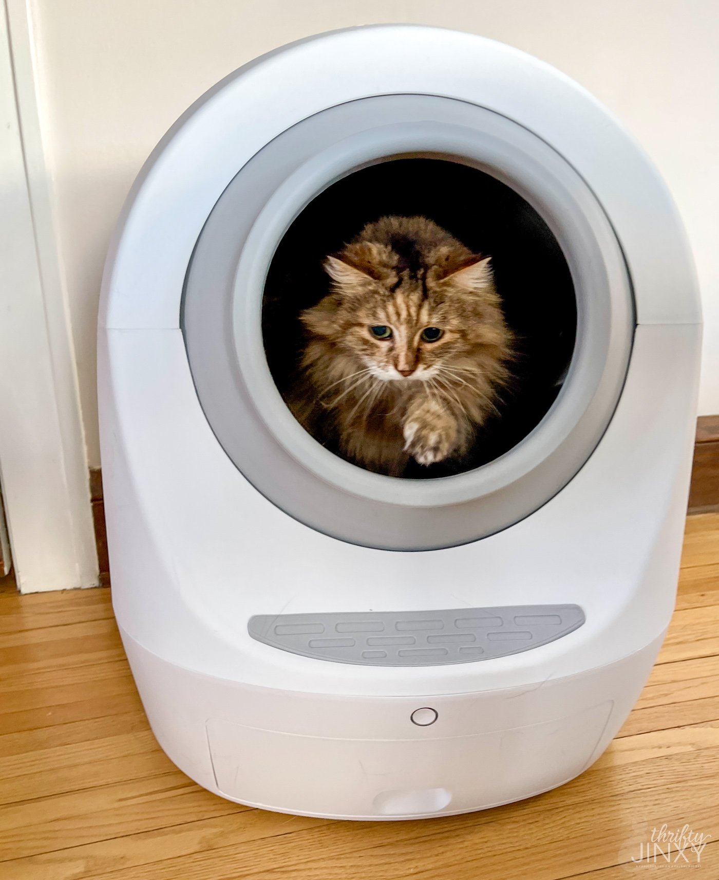 Leo's Loo Too SelfCleaning Litter Box Everything You Need to Know