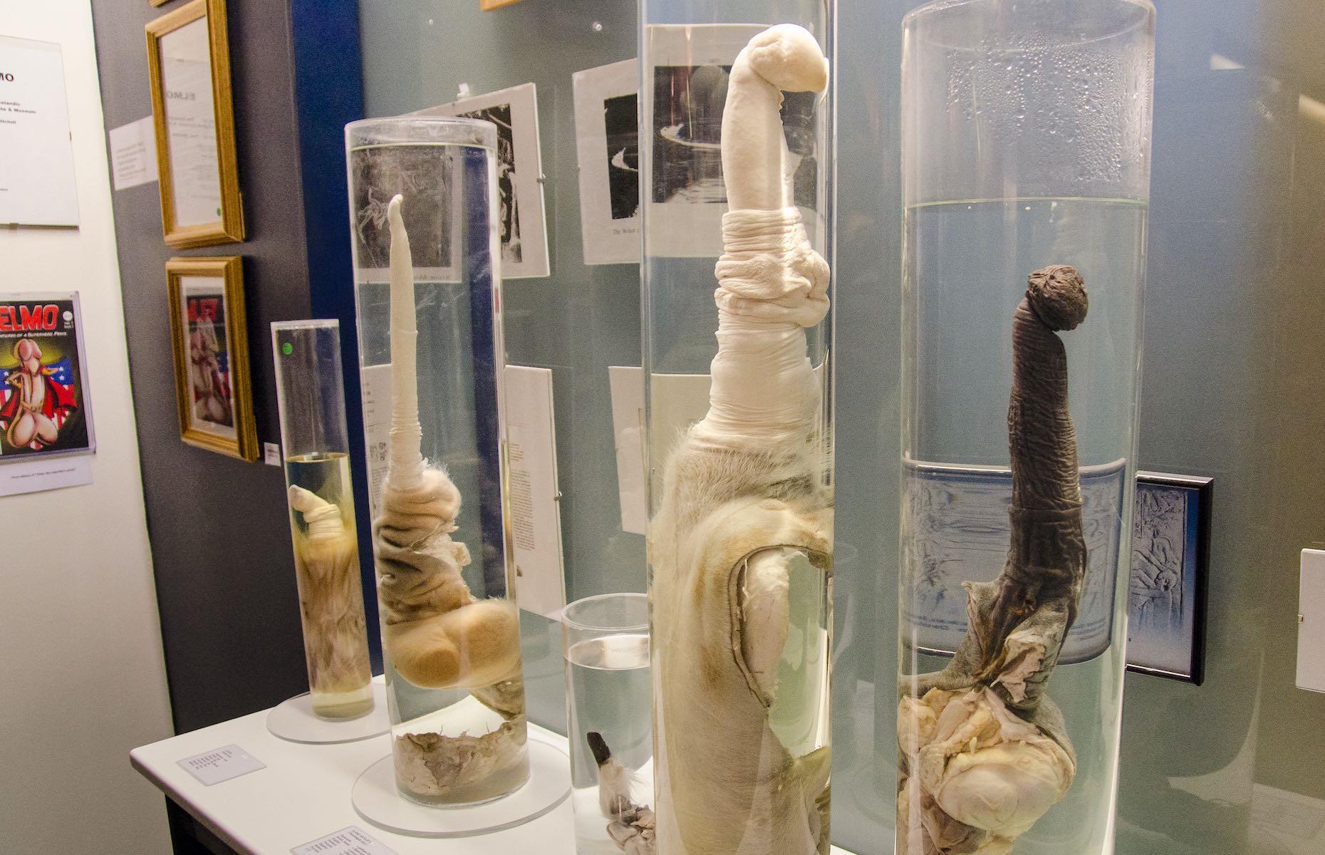 33 Of The Worlds Weirdest Museums