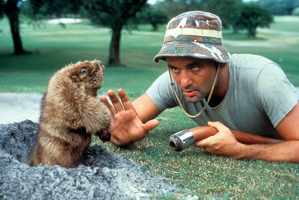 <p>One of the most notable changes to the script was a scene between Phil and the groundhog. In the original version, Phil was supposed to kill the groundhog in its lair to try and disrupt the time loop.</p> <p>Yet, it didn't take them long to cut the scene as they thought it was too reminiscent of the movie <i>Caddyshack. </i></p>