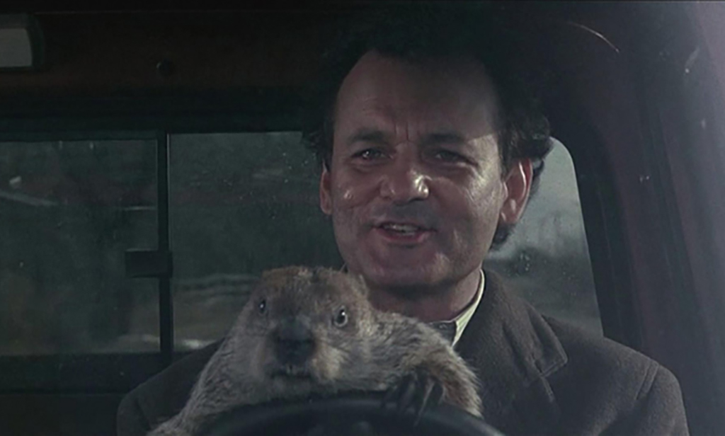 <p>Bill Murray ran into some issues with the real groundhog while on the set of the film. The groundhog managed to bite him numerous times. </p> <p>Murray even had to go receive anti-rabies injections due to the seriousness of his injuries from the rodent. </p>