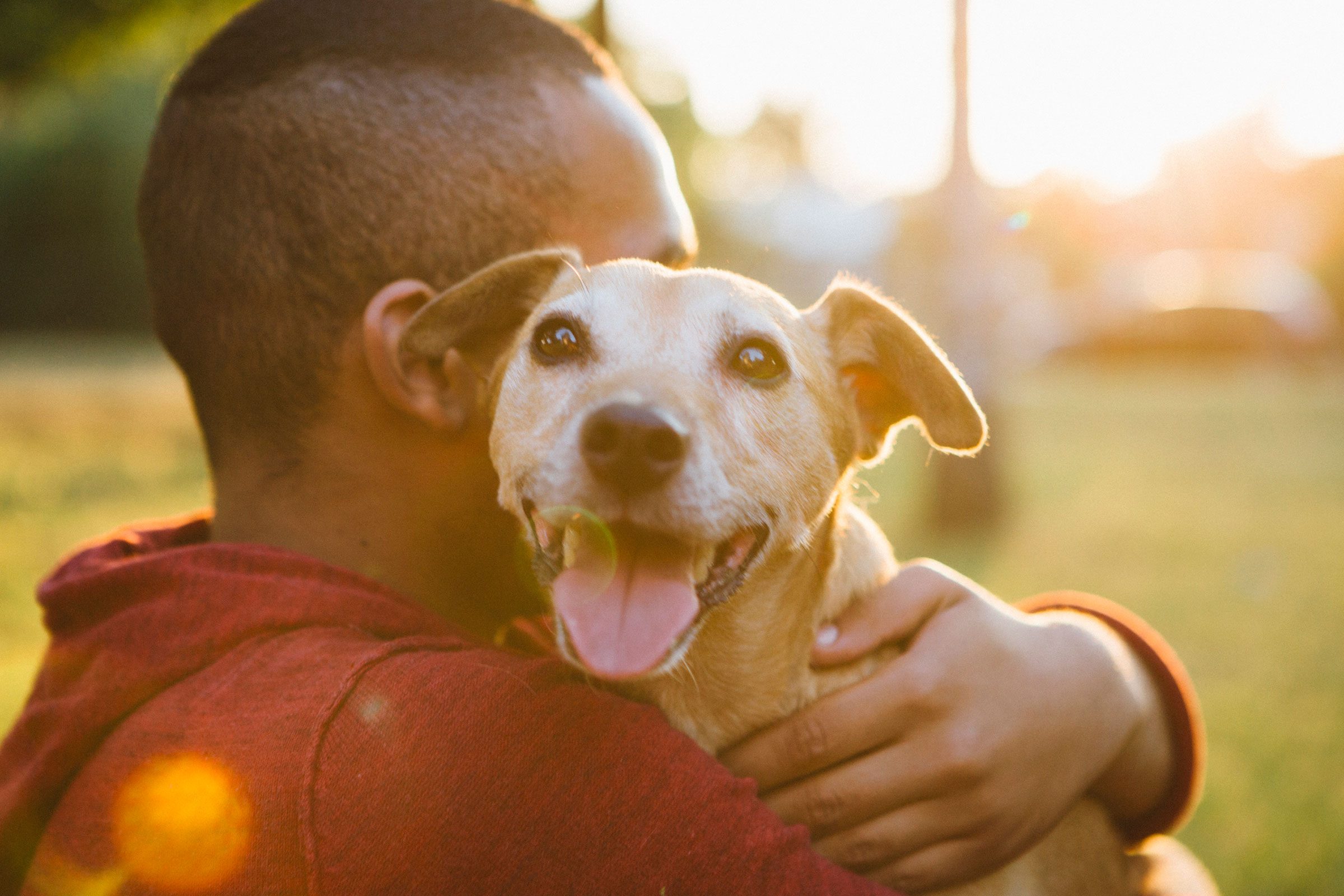 <p class="listicle-para">Loneliness has been associated with heart disease, Alzheimer’s disease, and other negative outcomes, but older adults who owned pets were 36 percent less likely to say they were lonely than those who didn’t have a furry friend, according to a study published in <em>Aging & Mental Health</em>. Especially among those who live alone, a pet could offer social interaction when other people aren’t around, the authors report. Here are <a href="https://www.rd.com/list/dog-knows-about-you/">13 astounding secrets your dog knows about you</a>.</p>