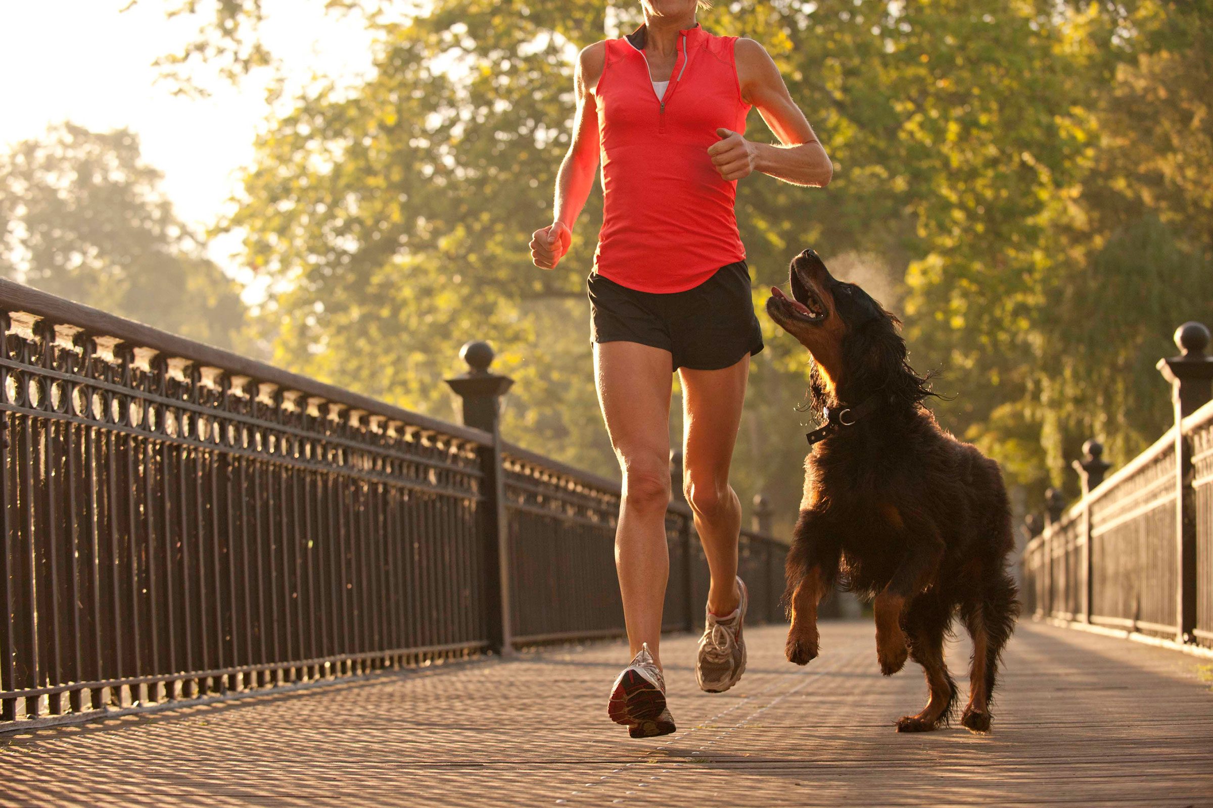 <p class="listicle-para">Of course your pup needs walks, but that stroll is good for your health too—and dog owners don’t just use those jaunts to replace the exercise they’d do otherwise. A Michigan State University study found that one of the benefits of owning a pet are that people who own dogs exercise about half an hour more per week than those who don’t live with a dog. Our pets protect us from seen, and unseen, dangers. Read the incredible true stories of <a href="https://www.rd.com/list/hero-pets/">hero pets</a> shared by our readers.</p>