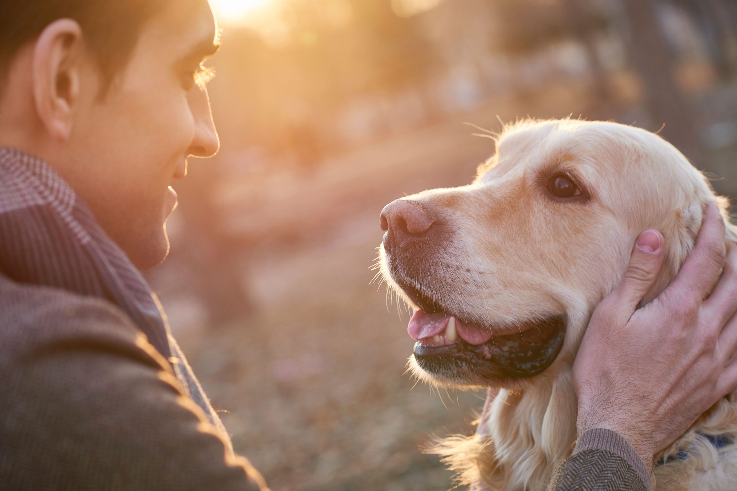 <p class="listicle-para">A small Swedish study found that female volunteers had lower levels of the stress hormone cortisol 15 to 30 minutes after petting a pooch. Having your own dog could give you even more benefits. Participants who owned dogs had increased levels of the happy hormone oxytocin between one and five minutes later, and their heart rates were lower up to an hour later—but those without canines of their own didn’t get those same benefits. Find a fix to <a href="https://www.rd.com/list/how-to-solve-the-most-common-pet-behavioral-problems/">these common pet behavior problems</a> to strengthen your bond.</p>