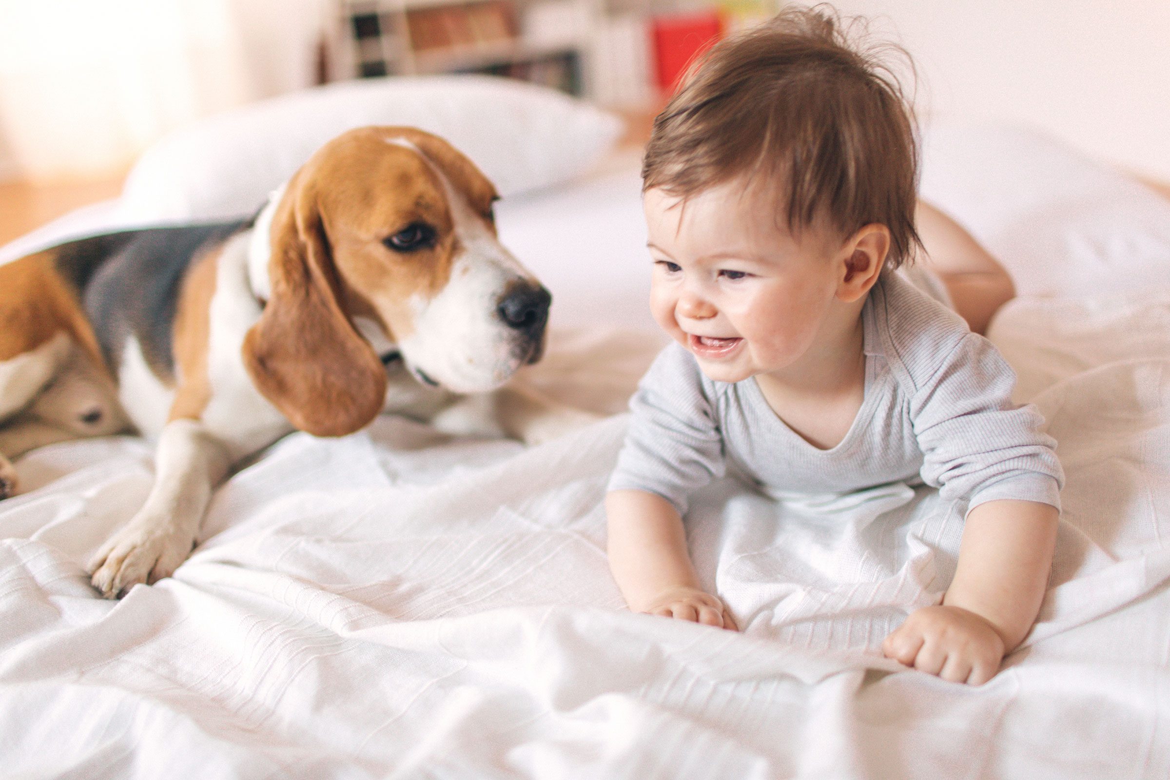 <p class="listicle-para">Babies with pets in the house are less likely to develop allergies later in life, according to a study in <em>Clinical & Experimental Allergy</em>. The study found that 18-year-olds who’d had a cat or dog in the family when they were less than a year old were about half as likely to be allergic to that animal as those who didn’t have an animal in the house. But early-life exposure is key—adopting a pet later as an adult won’t help your immune system in the same way. Here are <a href="https://www.rd.com/list/dog-superpowers/">11 more superpowers your dog has</a>.</p>
