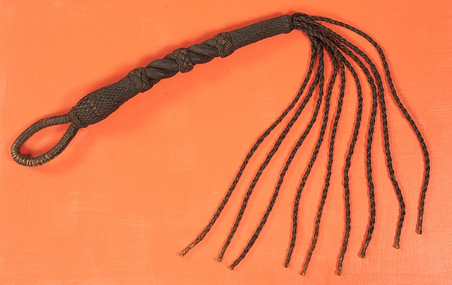 <p>Letting the cat out of the bag is Navy slang to describe the punishment of whipping. The "cat" refers to the cat o' nine tails, a formidable multi-tailed whip stored within a cloth bag. Sailors knew it was about to be used when the superior doling out the punishment pulled it out of its bag.</p>