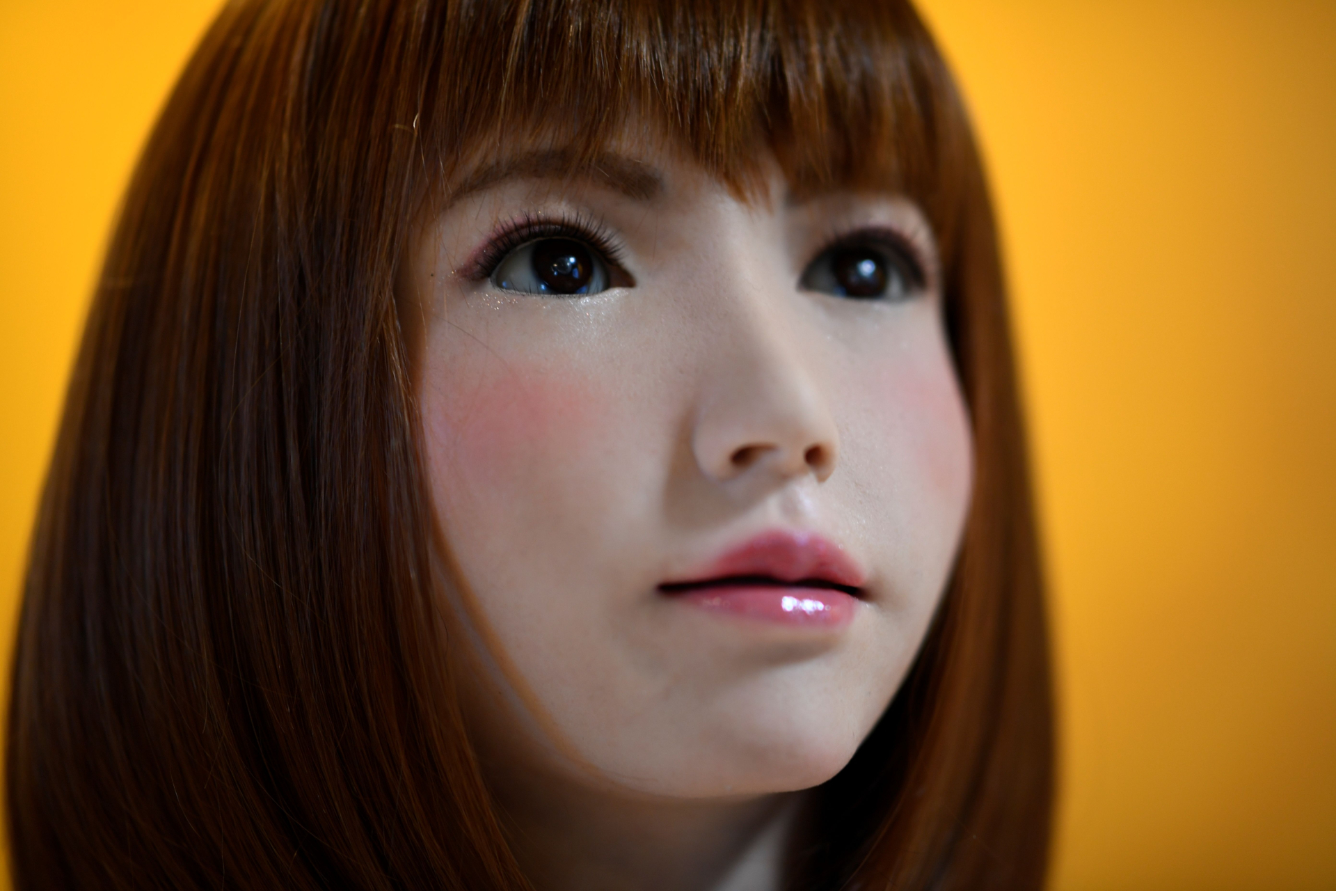 erica the most lifelike humanoid robot