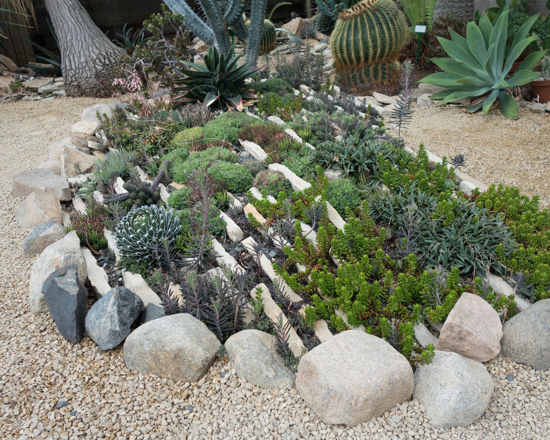 Succulent garden ideas: 13 looks for a stylish outdoor oasis